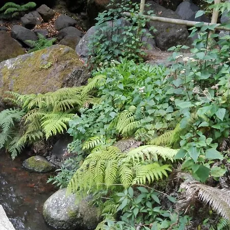 Apartment Apartamento Villa