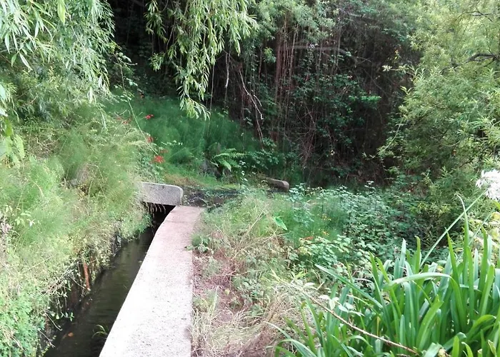 Апартаменты Apartamento Villa *