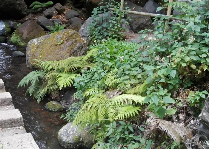 Apartmán Apartamento Villa